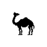 Profile picture of Sara Khalid