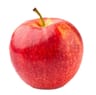 Profile picture of fulloflifey.space@gmail.com