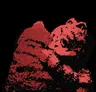 Profile picture of kibuccii