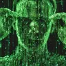 Profile picture of Matrix Decoder Project