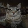 Profile picture of Liz
